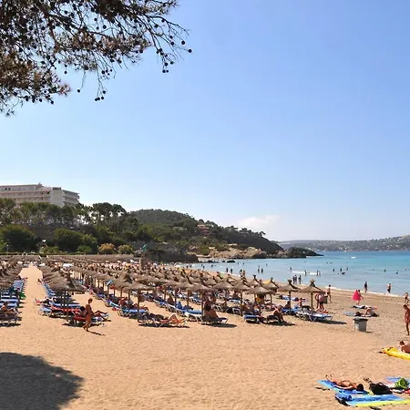 Olimarotel Park 4* Peguera